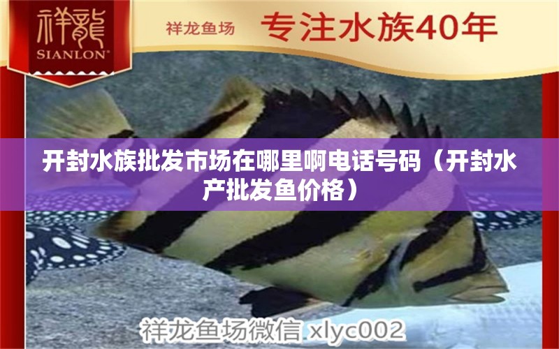 开封水族批发市场在哪里啊电话号码（开封水产批发鱼价格）