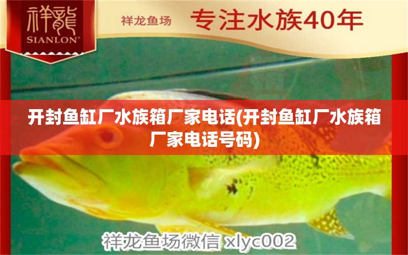 开封鱼缸厂水族箱厂家电话(开封鱼缸厂水族箱厂家电话号码)