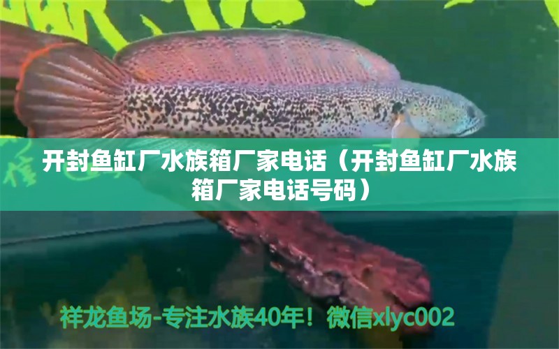 开封鱼缸厂水族箱厂家电话（开封鱼缸厂水族箱厂家电话号码）