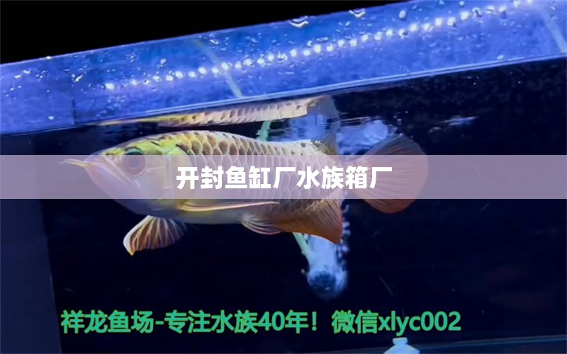 开封鱼缸厂水族箱厂 鱼缸/水族箱