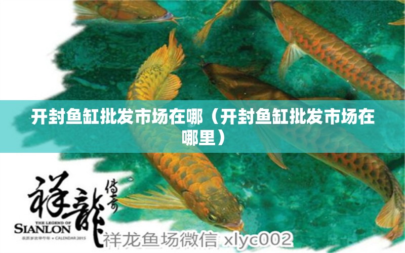 开封鱼缸批发市场在哪（开封鱼缸批发市场在哪里） 祥龙水族医院