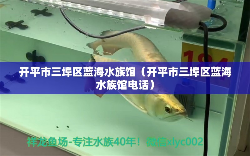 开平市三埠区蓝海水族馆（开平市三埠区蓝海水族馆电话）