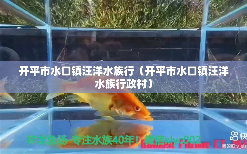 开平市水口镇汪洋水族行（开平市水口镇汪洋水族行政村） 全国水族馆企业名录