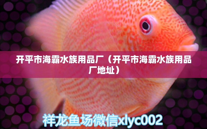 开平市海霸水族用品厂（开平市海霸水族用品厂地址）