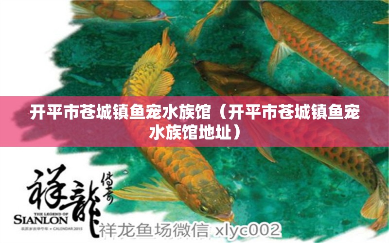 开平市苍城镇鱼宠水族馆（开平市苍城镇鱼宠水族馆地址） 全国水族馆企业名录