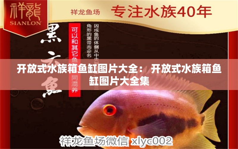 开放式水族箱鱼缸图片大全： 开放式水族箱鱼缸图片大全集