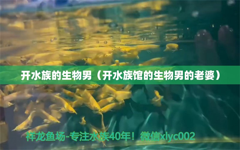 开水族的生物男（开水族馆的生物男的老婆） 青龙鱼 第1张