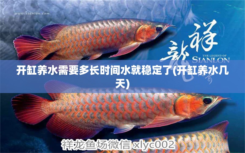 开缸养水需要多长时间水就稳定了(开缸养水几天) 广州水族批发市场 第1张