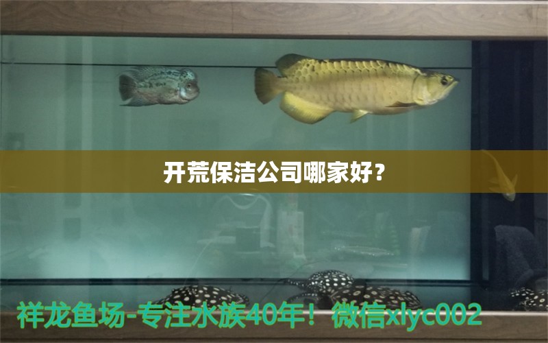 开荒保洁公司哪家好？