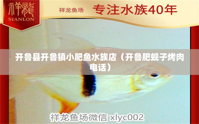 开鲁县开鲁镇小肥鱼水族店（开鲁肥蚬子烤肉电话） 全国水族馆企业名录