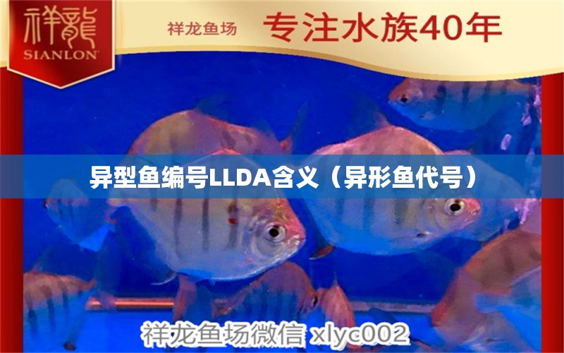 异型鱼编号LLDA含义（异形鱼代号）