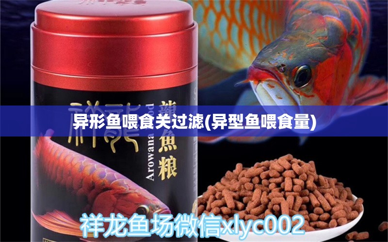 异形鱼喂食关过滤(异型鱼喂食量) 红龙专用鱼粮饲料