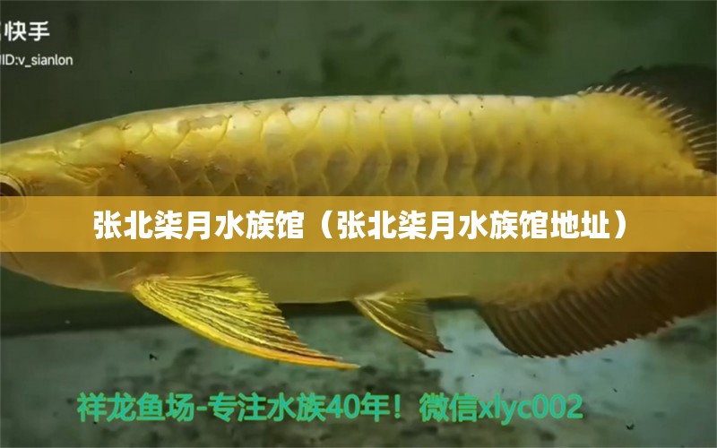 张北柒月水族馆（张北柒月水族馆地址）