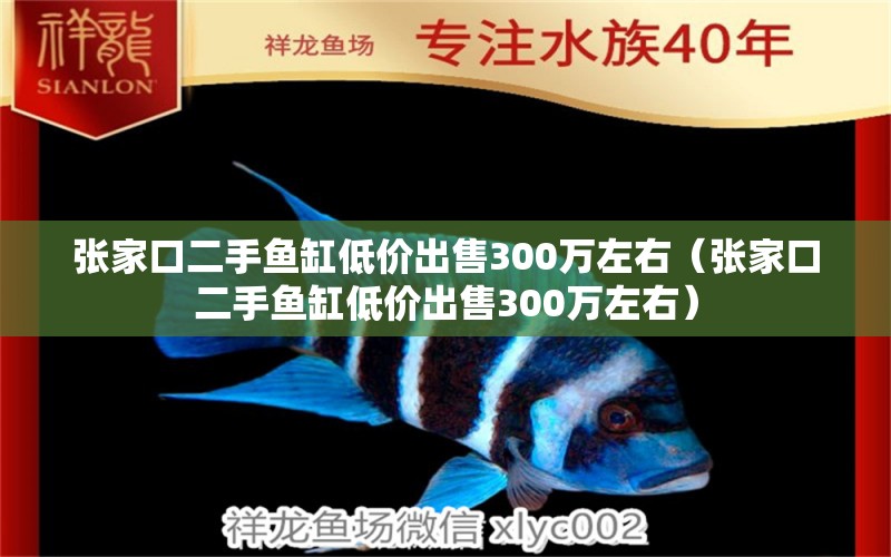 张家口二手鱼缸低价出售300万左右（张家口二手鱼缸低价出售300万左右） 一眉道人鱼苗