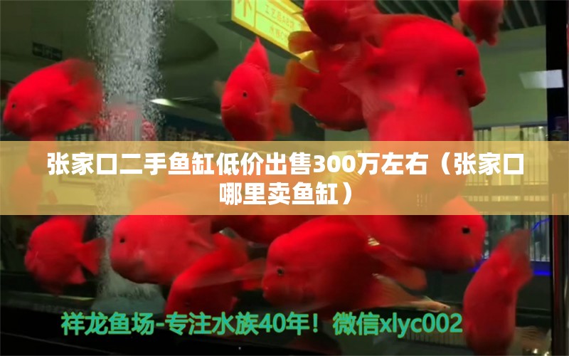 张家口二手鱼缸低价出售300万左右（张家口哪里卖鱼缸） 观赏鱼批发