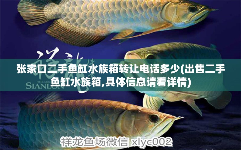 张家口二手鱼缸水族箱转让电话多少(出售二手鱼缸水族箱,具体信息请看详情)