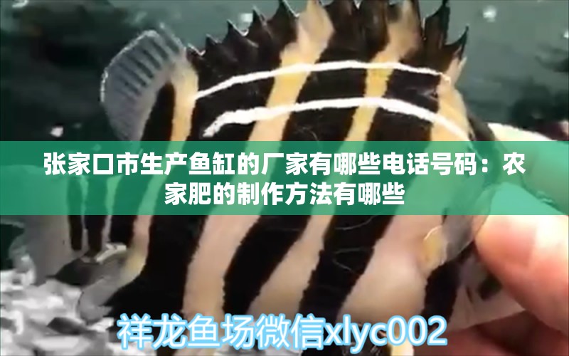 张家口市生产鱼缸的厂家有哪些电话号码：农家肥的制作方法有哪些 观赏鱼市场 第2张