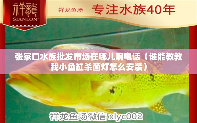 张家口水族批发市场在哪儿啊电话（谁能教教我小鱼缸杀菌灯怎么安装）