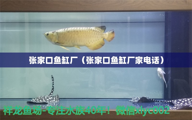 张家口鱼缸厂（张家口鱼缸厂家电话） 其他品牌鱼缸