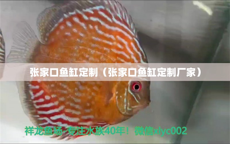 张家口鱼缸定制（张家口鱼缸定制厂家） 祥龙水族医院