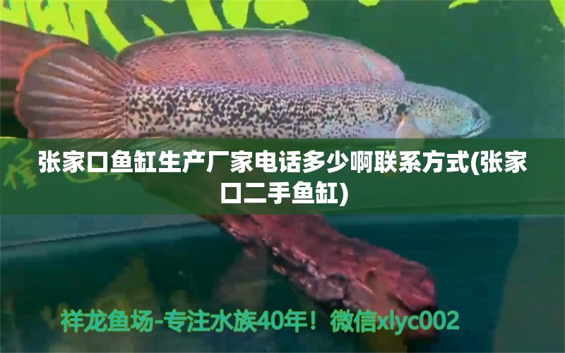 张家口鱼缸生产厂家电话多少啊联系方式(张家口二手鱼缸) 熊猫异形鱼L46 第2张