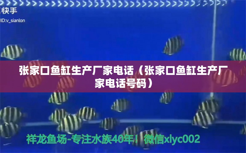 张家口鱼缸生产厂家电话（张家口鱼缸生产厂家电话号码） 祥龙水族医院