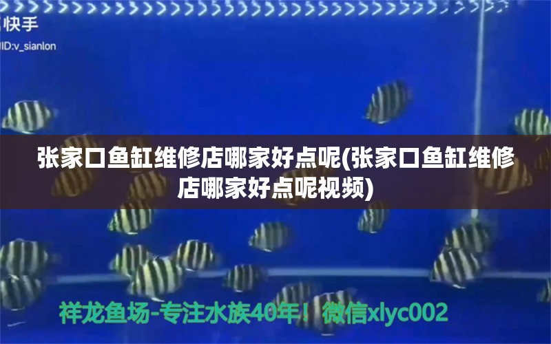 张家口鱼缸维修店哪家好点呢(张家口鱼缸维修店哪家好点呢视频)