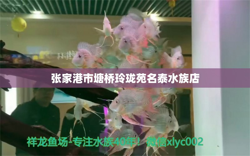 张家港市塘桥玲珑苑名泰水族店 全国水族馆企业名录