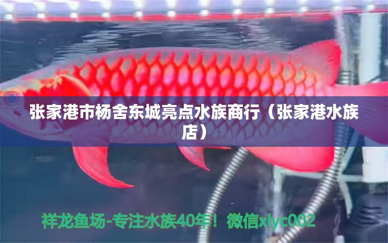 张家港市杨舍东城亮点水族商行（张家港水族店）