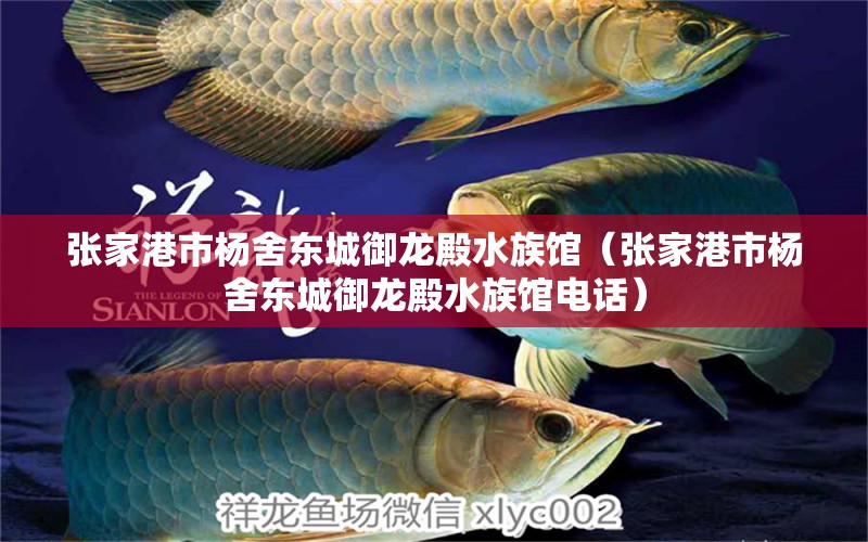 张家港市杨舍东城御龙殿水族馆（张家港市杨舍东城御龙殿水族馆电话）