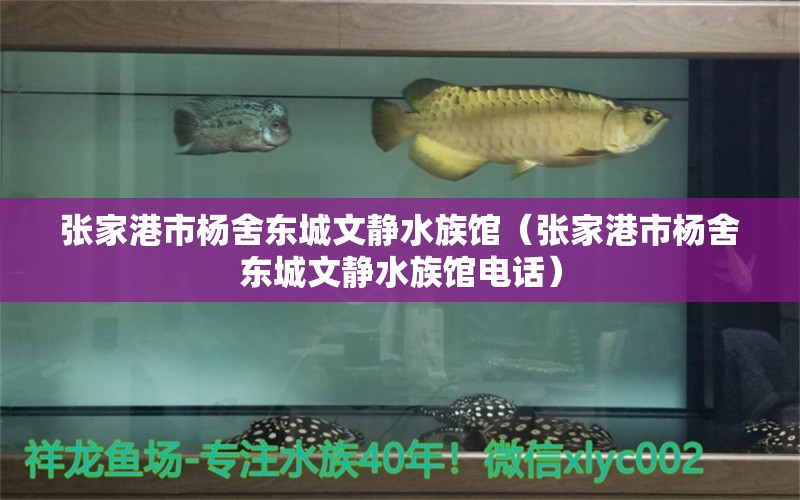 张家港市杨舍东城文静水族馆（张家港市杨舍东城文静水族馆电话） 全国水族馆企业名录