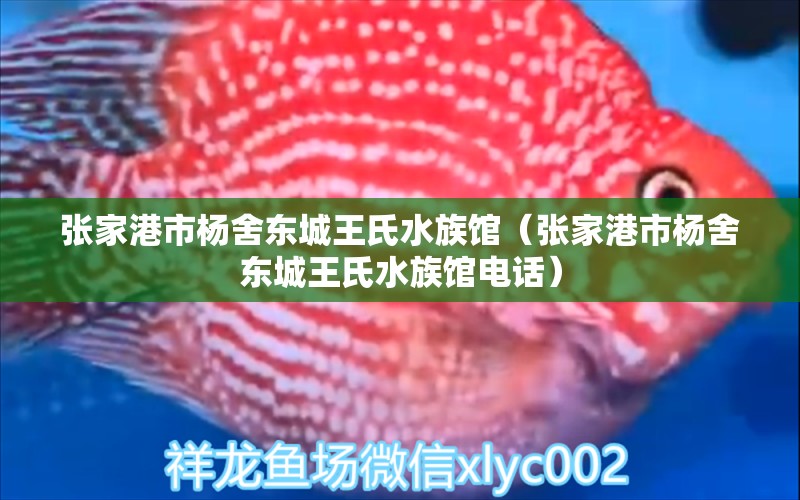 张家港市杨舍东城王氏水族馆（张家港市杨舍东城王氏水族馆电话）