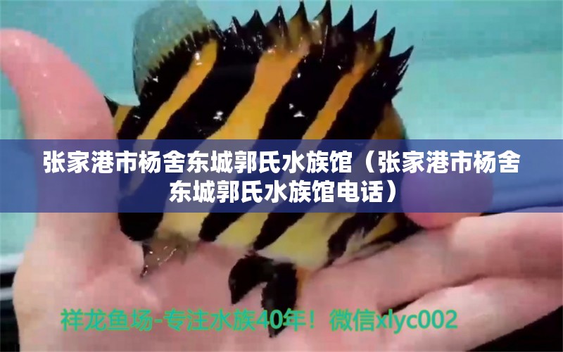 张家港市杨舍东城郭氏水族馆（张家港市杨舍东城郭氏水族馆电话）