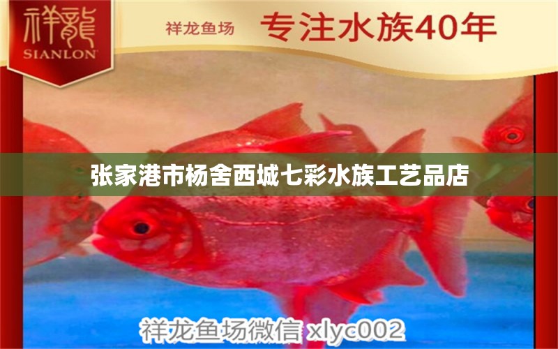 张家港市杨舍西城七彩水族工艺品店 全国水族馆企业名录