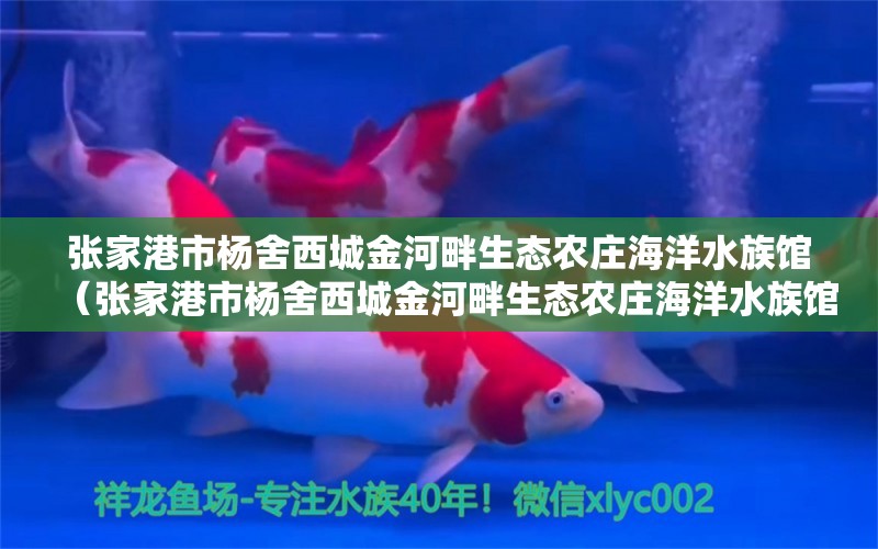 张家港市杨舍西城金河畔生态农庄海洋水族馆（张家港市杨舍西城金河畔生态农庄海洋水族馆电话号码）