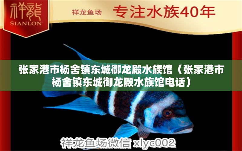 张家港市杨舍镇东城御龙殿水族馆（张家港市杨舍镇东城御龙殿水族馆电话）