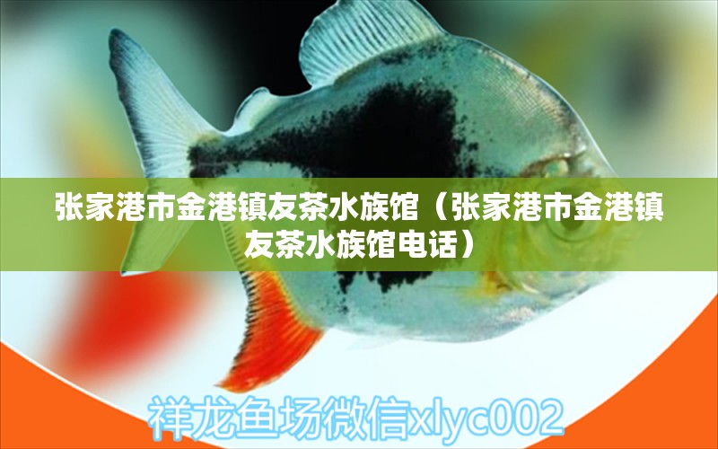 张家港市金港镇友茶水族馆（张家港市金港镇友茶水族馆电话）