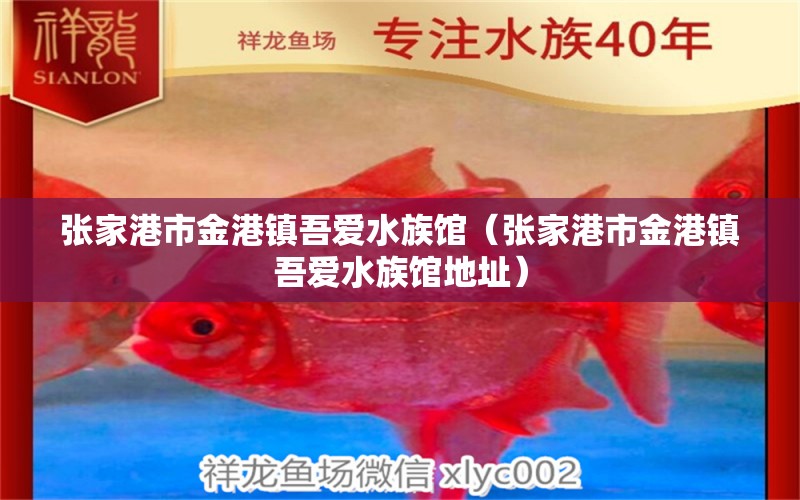 张家港市金港镇吾爱水族馆（张家港市金港镇吾爱水族馆地址） 全国水族馆企业名录