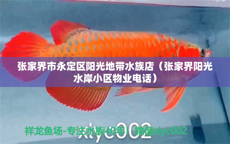 张家界市永定区阳光地带水族店（张家界阳光水岸小区物业电话） 全国水族馆企业名录