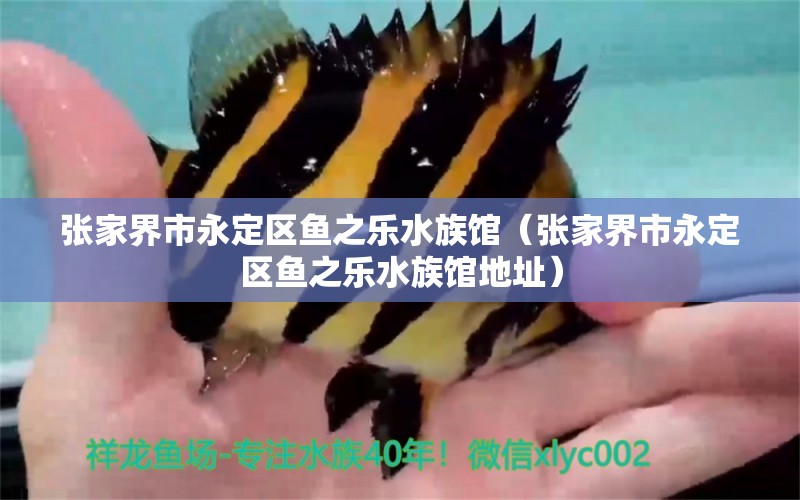 张家界市永定区鱼之乐水族馆（张家界市永定区鱼之乐水族馆地址） 全国水族馆企业名录