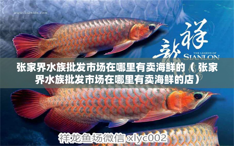 张家界水族批发市场在哪里有卖海鲜的（ 张家界水族批发市场在哪里有卖海鲜的店）