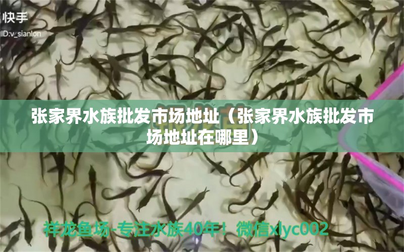 张家界水族批发市场地址（张家界水族批发市场地址在哪里）