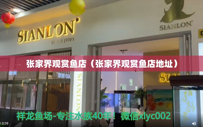 张家界观赏鱼店（张家界观赏鱼店地址） 观赏鱼市场