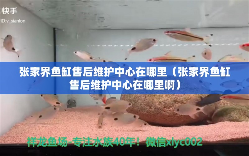 张家界鱼缸售后维护中心在哪里（张家界鱼缸售后维护中心在哪里啊）