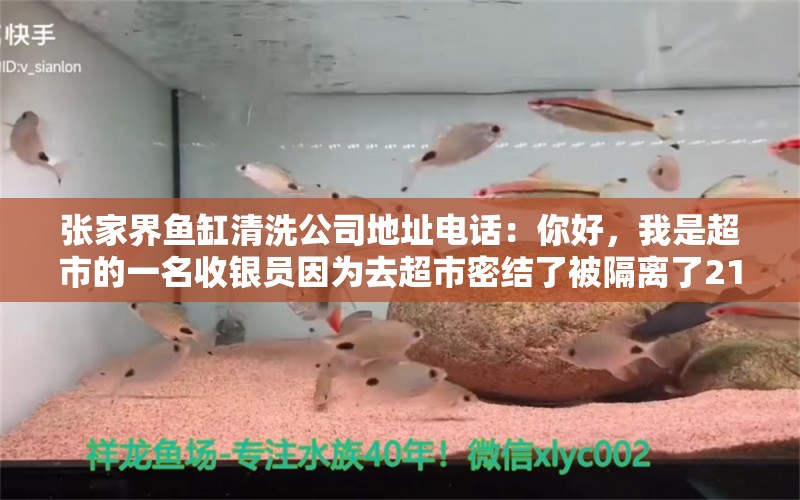 张家界鱼缸清洗公司地址电话：你好，我是超市的一名收银员因为去超市密结了被隔离了21天老板应该给我发工资吗