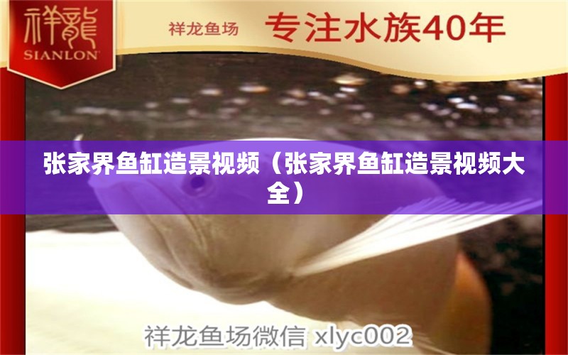 张家界鱼缸造景视频（张家界鱼缸造景视频大全） 其他品牌鱼缸