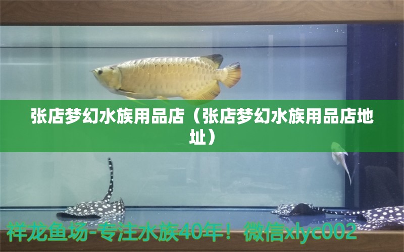 张店梦幻水族用品店（张店梦幻水族用品店地址）