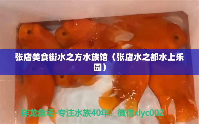 张店美食街水之方水族馆（张店水之都水上乐园）