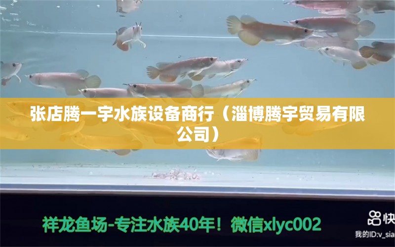 张店腾一宇水族设备商行（淄博腾宇贸易有限公司）