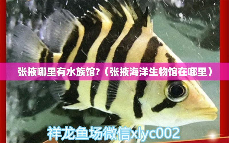 张掖哪里有水族馆?（张掖海洋生物馆在哪里）